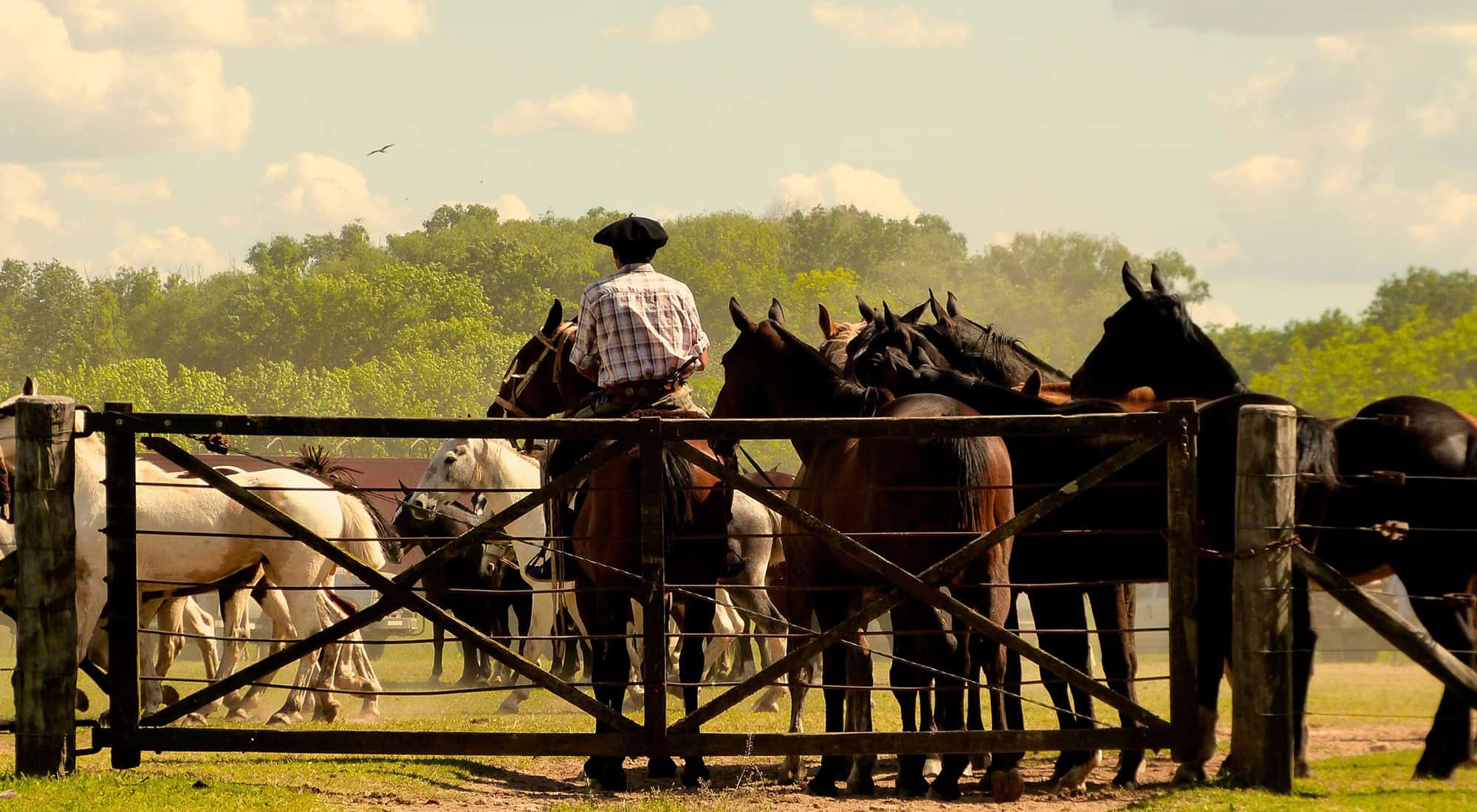Argentina's Best Festivals - Footprint Travel Guides